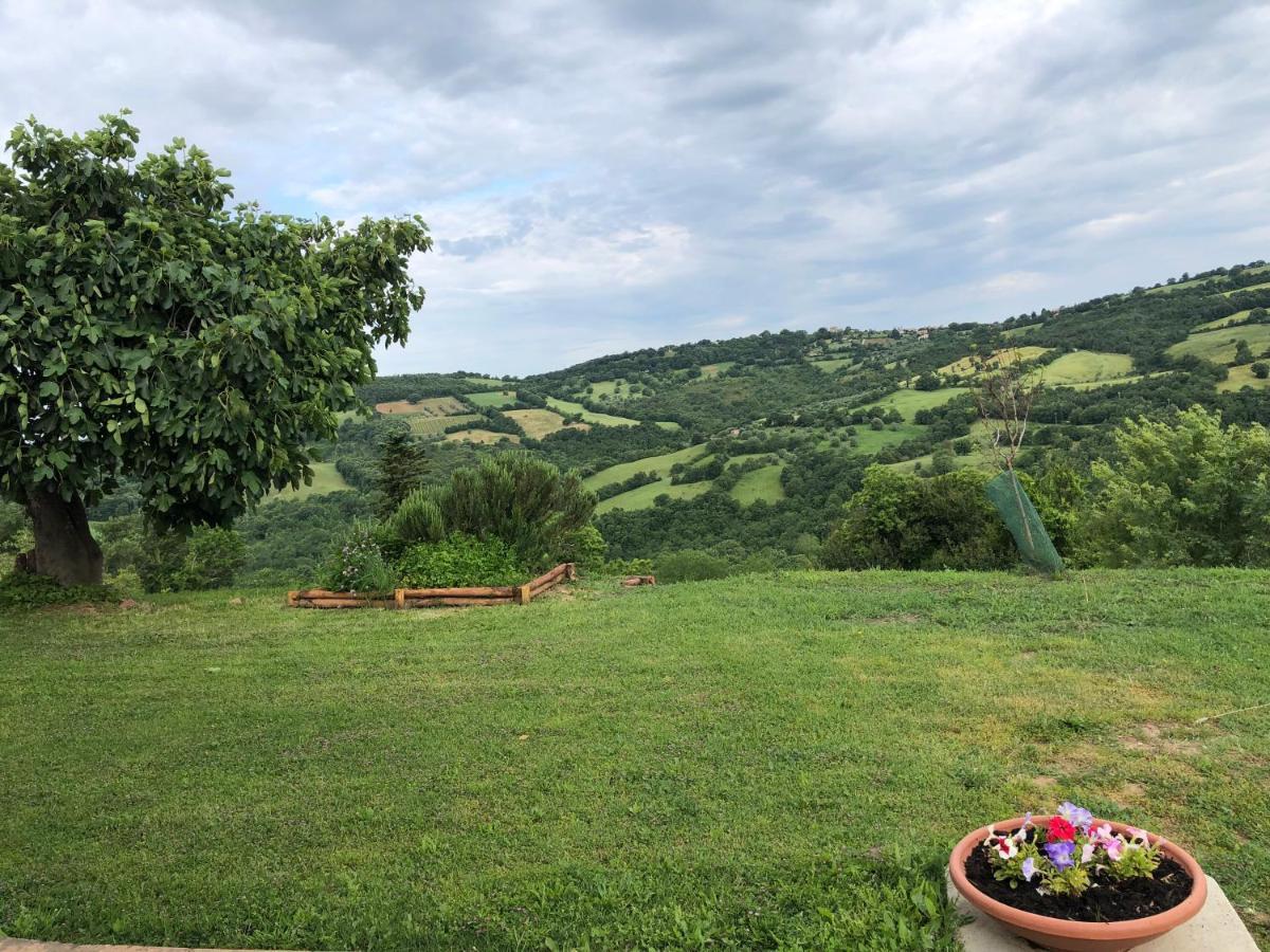 Agriturismo Poggio Monte ซาตูร์เนีย ภายนอก รูปภาพ