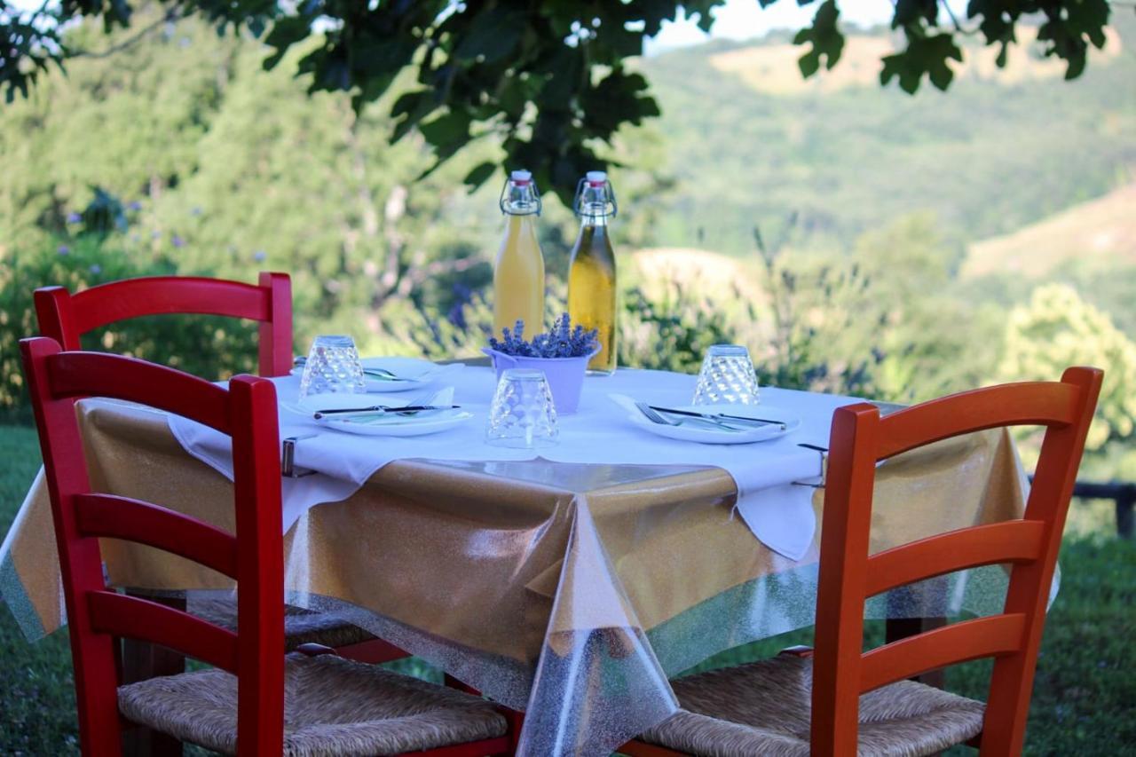 Agriturismo Poggio Monte ซาตูร์เนีย ภายนอก รูปภาพ