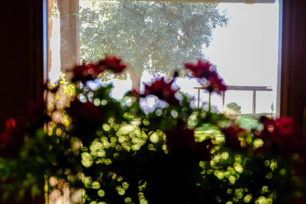 Agriturismo Poggio Monte ซาตูร์เนีย ภายนอก รูปภาพ