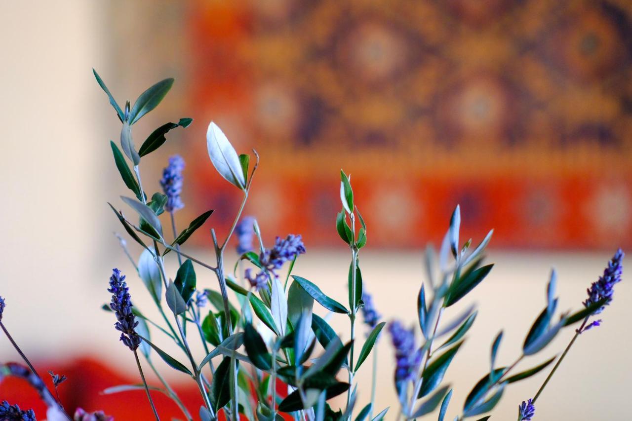 Agriturismo Poggio Monte ซาตูร์เนีย ภายนอก รูปภาพ